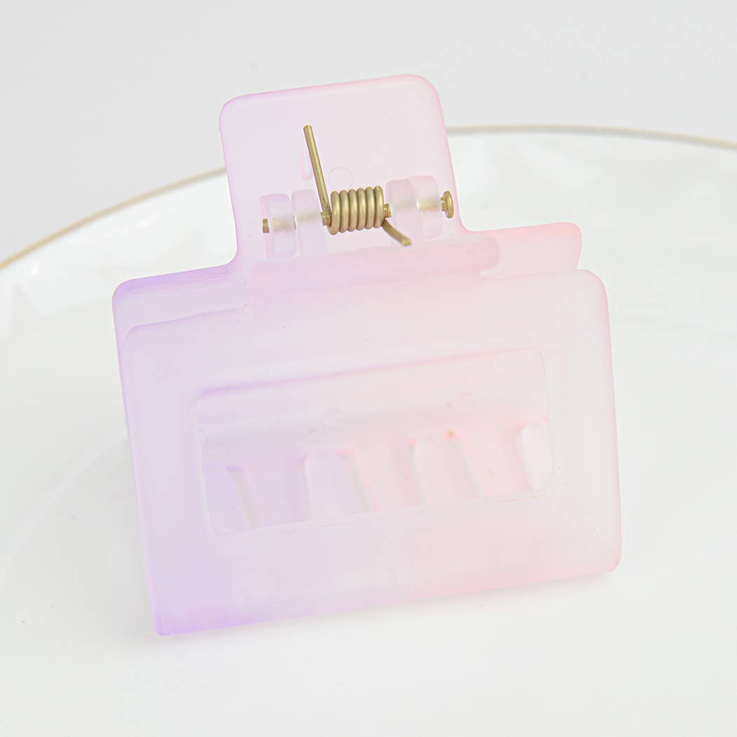 French Matte Gradient Square Medium Hair Claw Clips