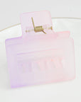 French Matte Gradient Square Medium Hair Claw Clips