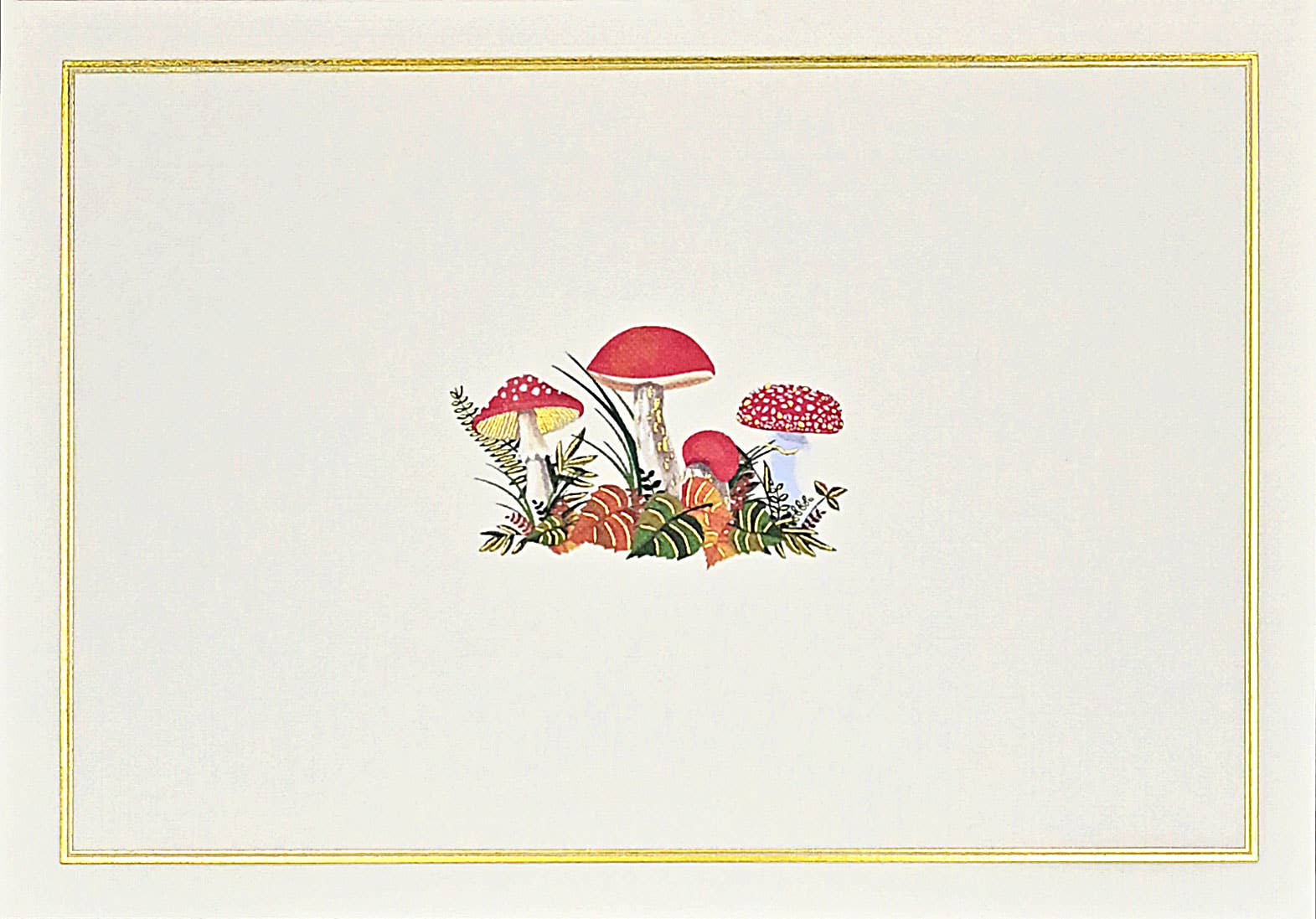 Mushrooms Note Cards