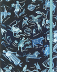 Constellations Journal