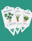 Houseplant Care Tags