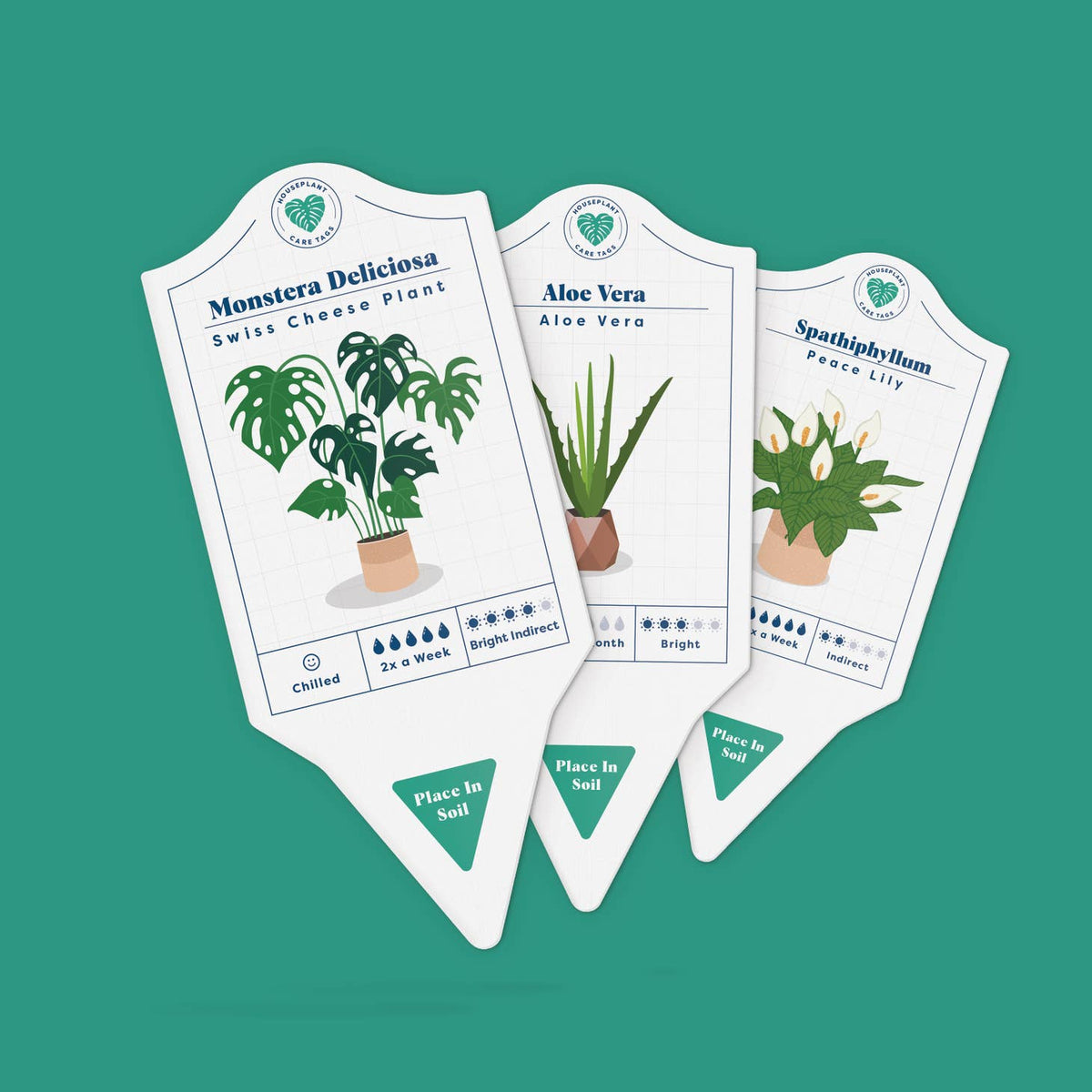 house plant care tags Bubblegum Stuff Houseplant Care Tags