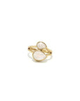 Moonstone Warrior Adjustable Brass Ring