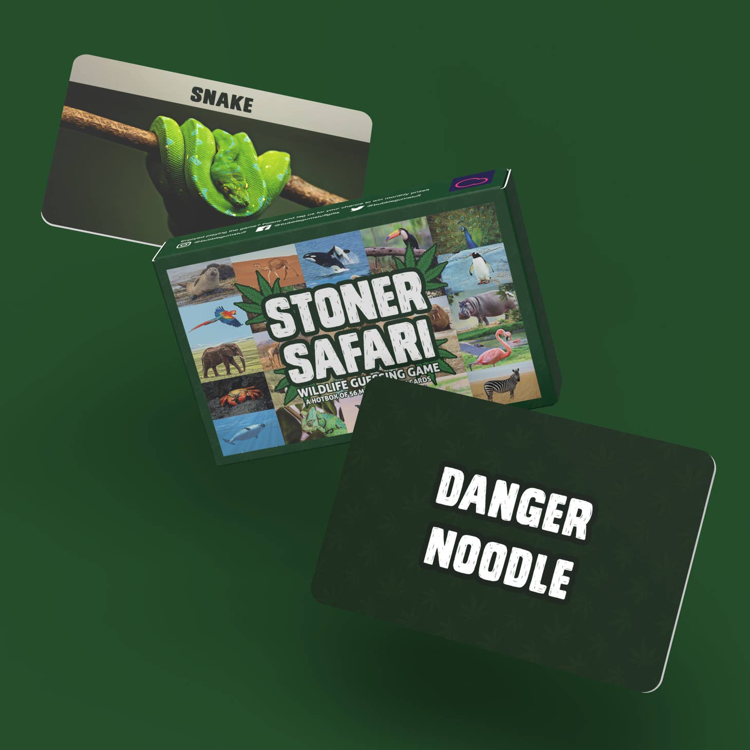 Stoner Safari