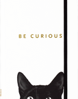Curious Cat Journal