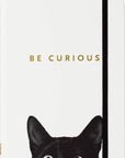 Curious Cat Journal