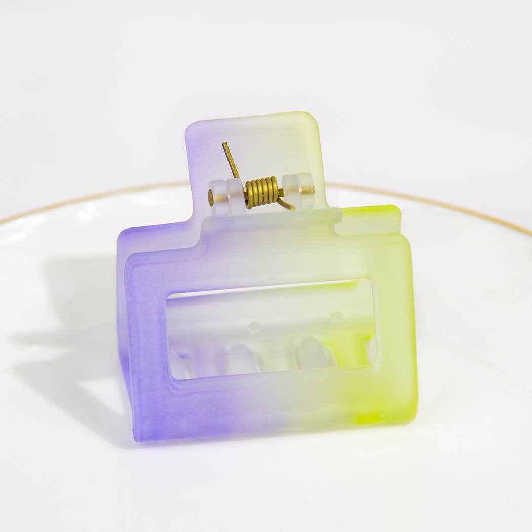 French Matte Gradient Square Medium Hair Claw Clips
