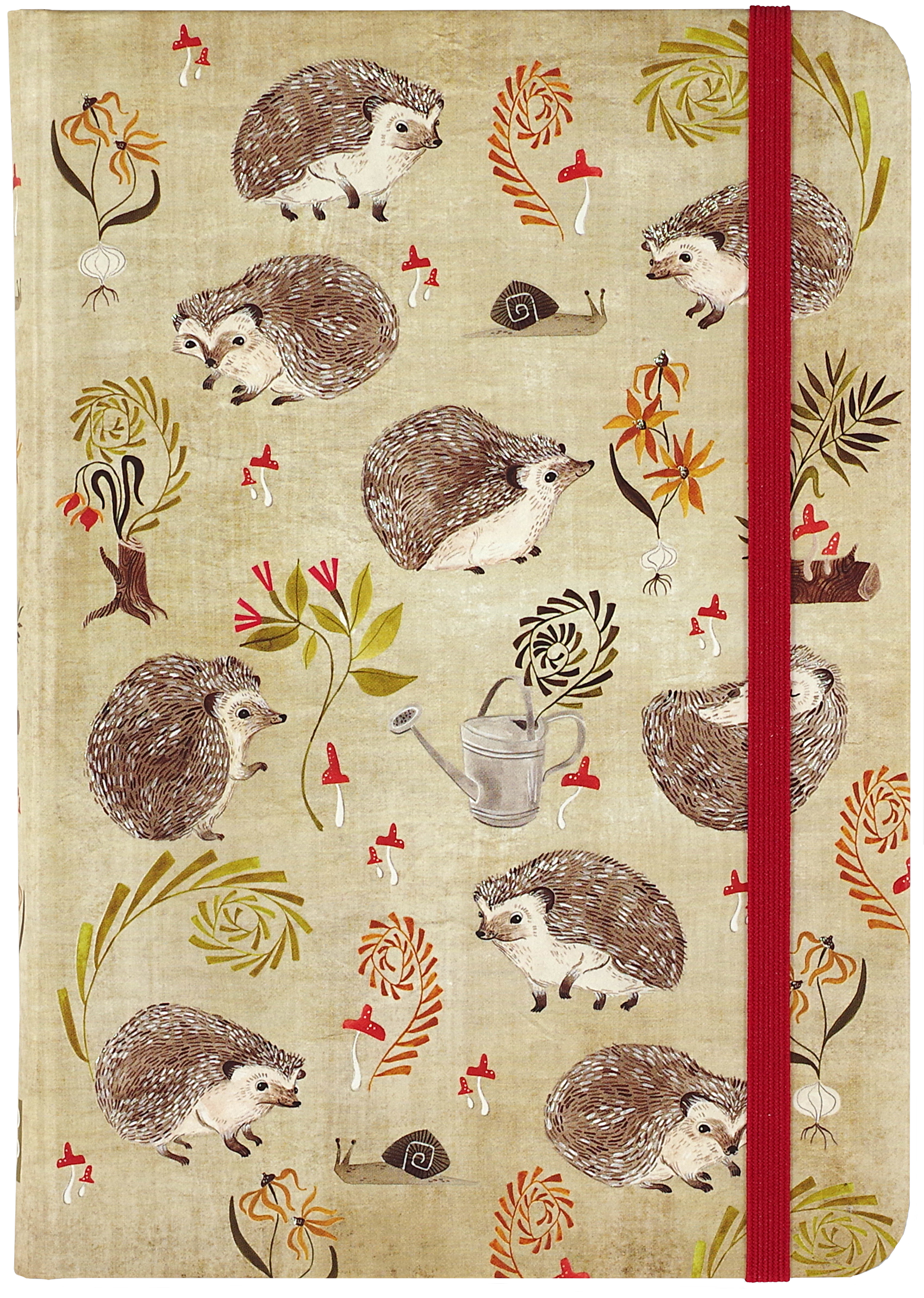 Hedgehogs Journal