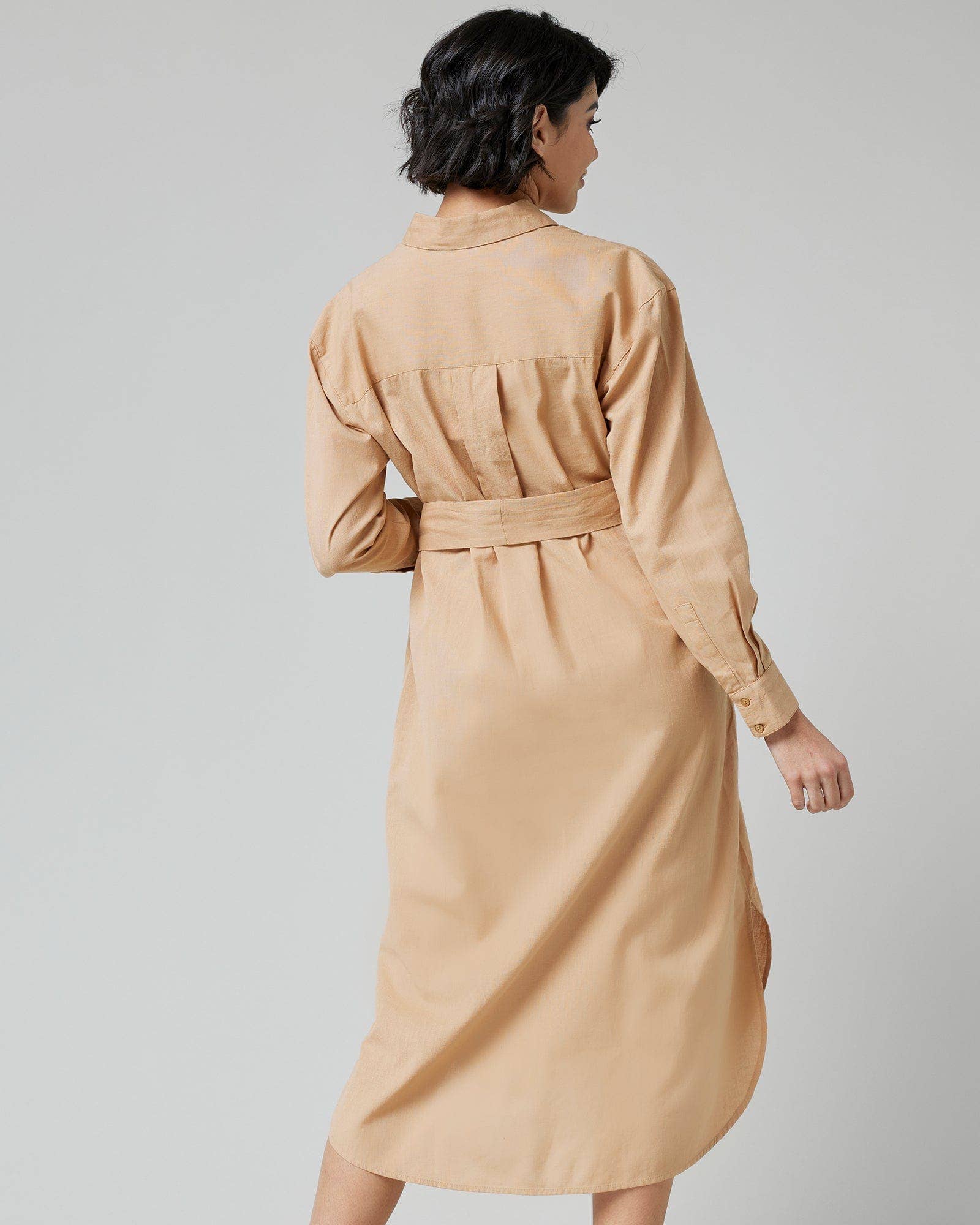 Petra Buttondown Dress