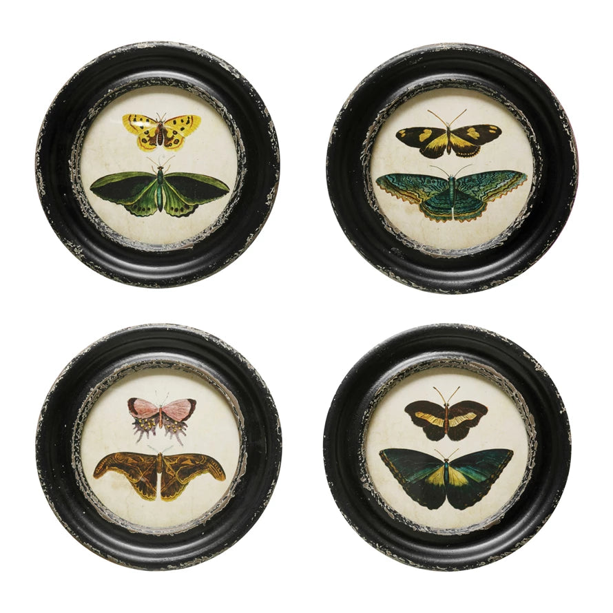 Moths & Butterflies Framed Wall Decor