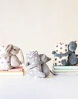 Plush Animal w/Polka Dot Blanket