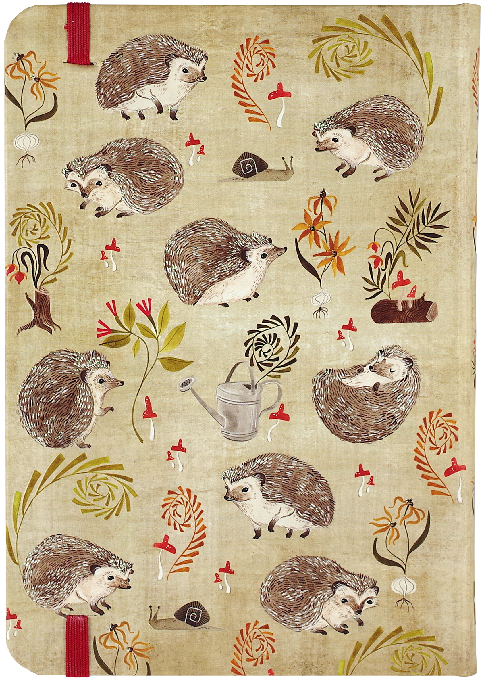 Hedgehogs Journal