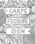 Inner F*cking Peace Adult Coloring Book