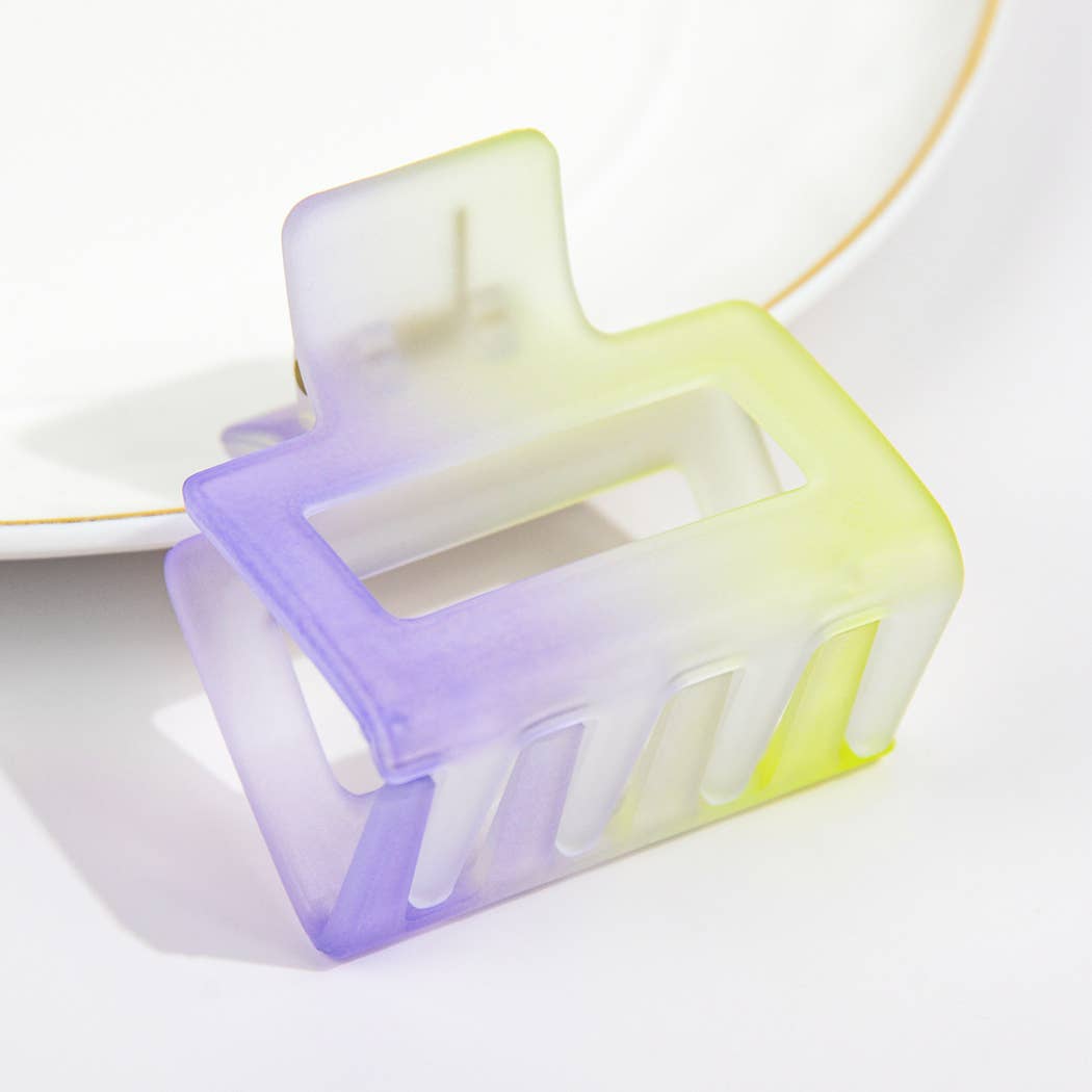 French Matte Gradient Square Medium Hair Claw Clips