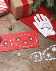 Santa Evidence Kit
