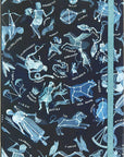 Constellations Journal