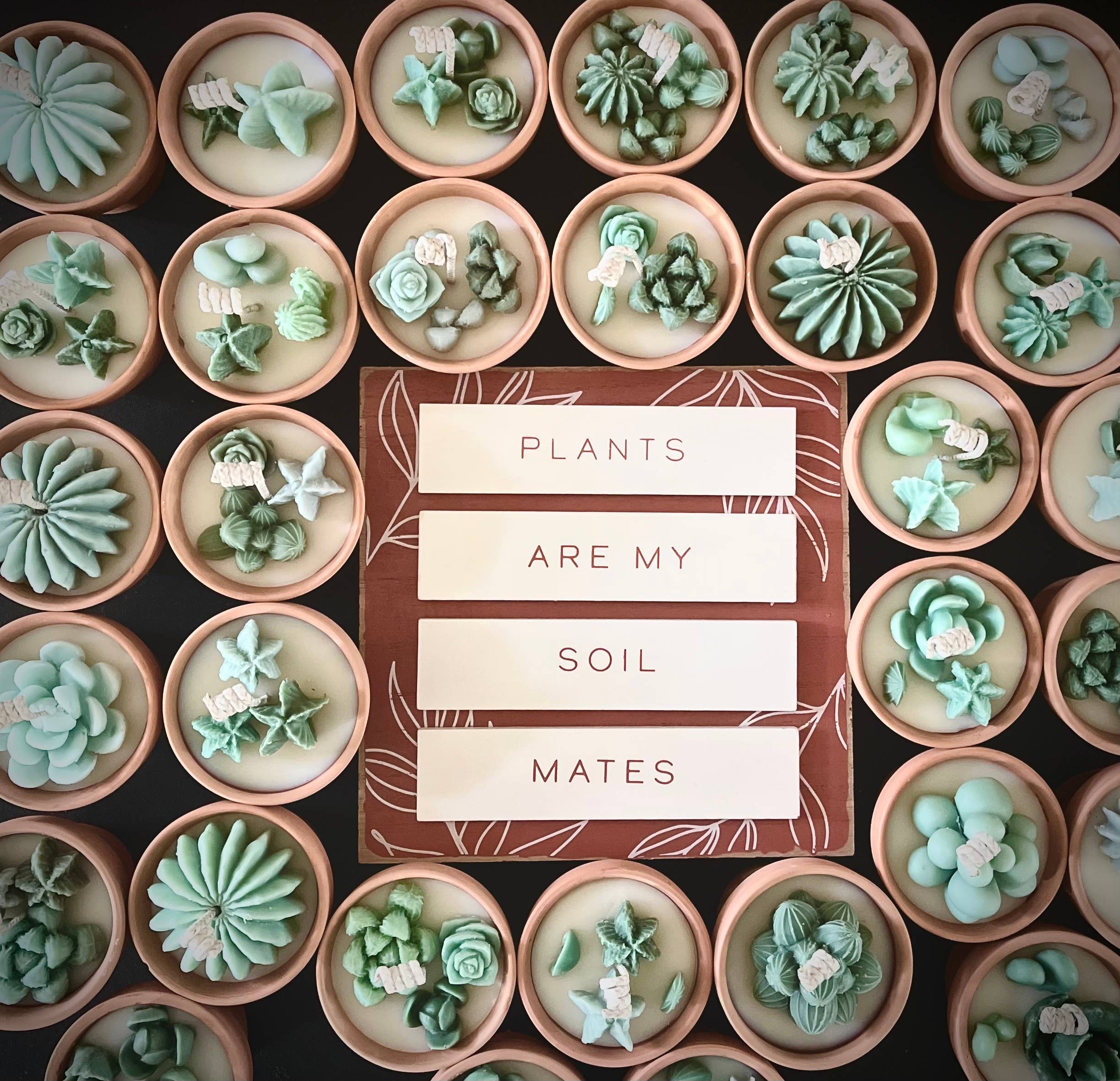 plants are my soil mates pot Mini Potted Succulent Candles – Sadie's Shop