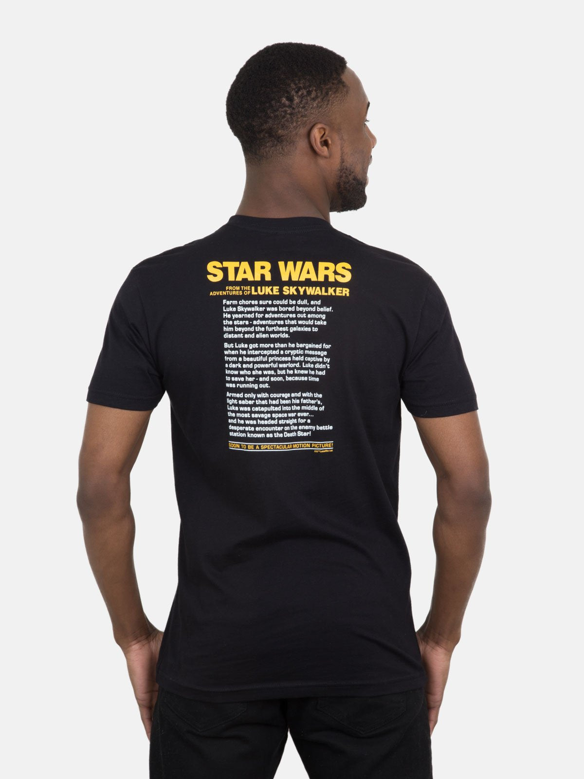 Star Wars: from the Adventures of Luke Walker