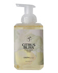 Natural Foaming Hand Soap