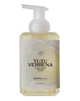 Natural Foaming Hand Soap