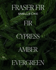 Fraser Fir 9 oz Soy Candle - Christmas Decor & Gifts
