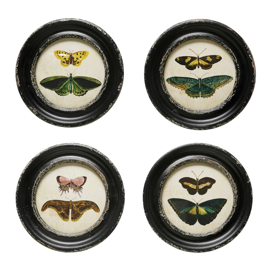 Moths &amp; Butterflies Framed Wall Decor