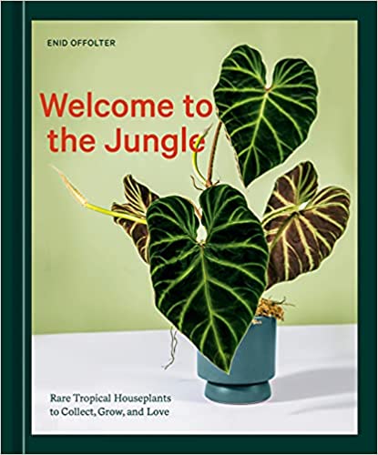 Welcome to the Jungle: Rare Tropical Houseplants to Collect, Grow, and Love by Enid Offolter