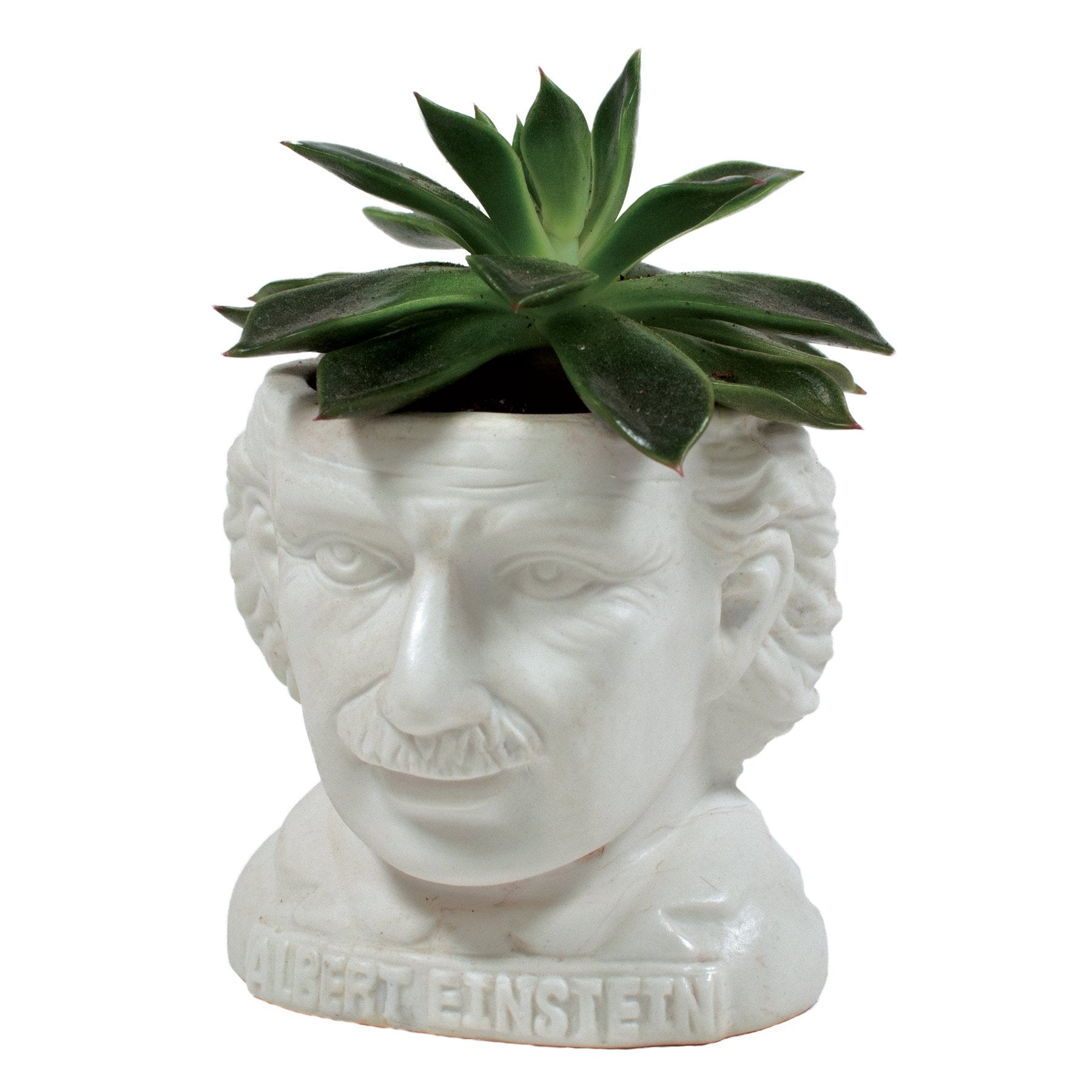 Einstein Planter