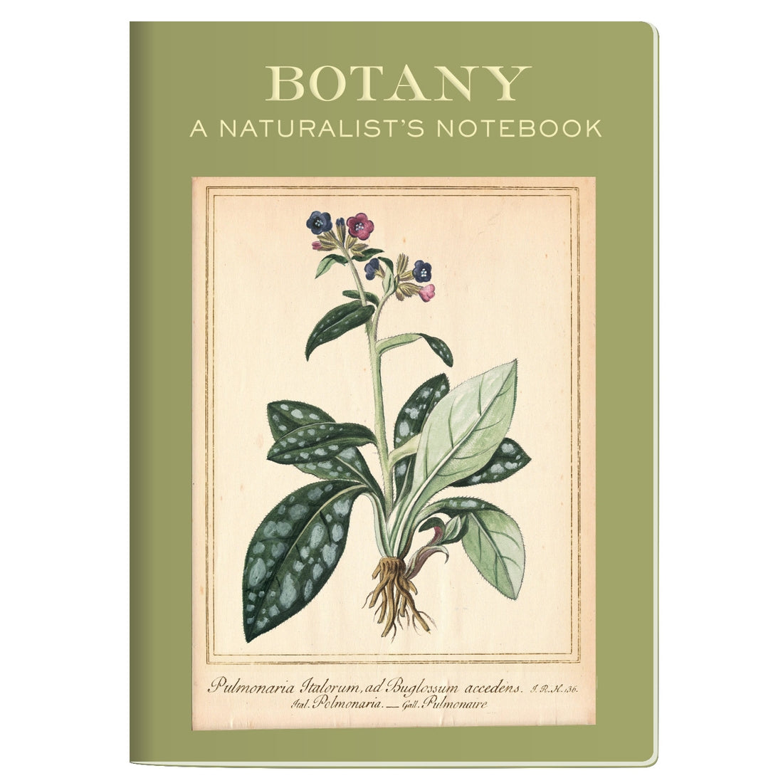 Botany Naturalist&#39;s Notebook